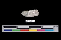 藏品(石棉)的圖片